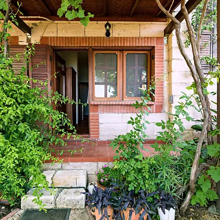 Vino Bed and breakfast