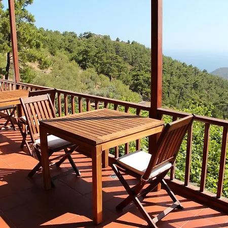 Vino Mesudiye (Datca)