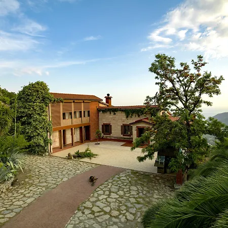 Bed & Breakfast Vino Mesudiye (Datca)