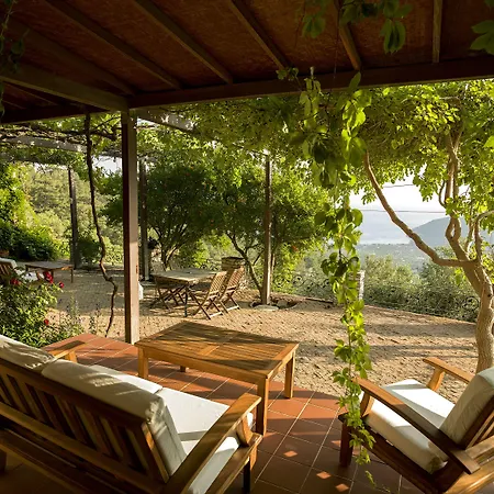 Vino Bed & Breakfast